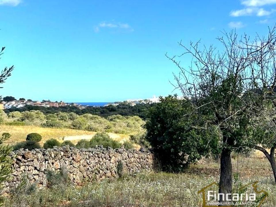 Landejendom i Cala Mandia, Mallorca - foto 5