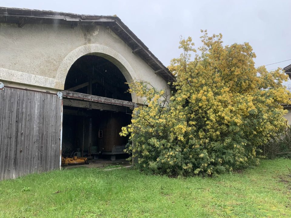 Villa i Gensac, Gironde - bilde 4