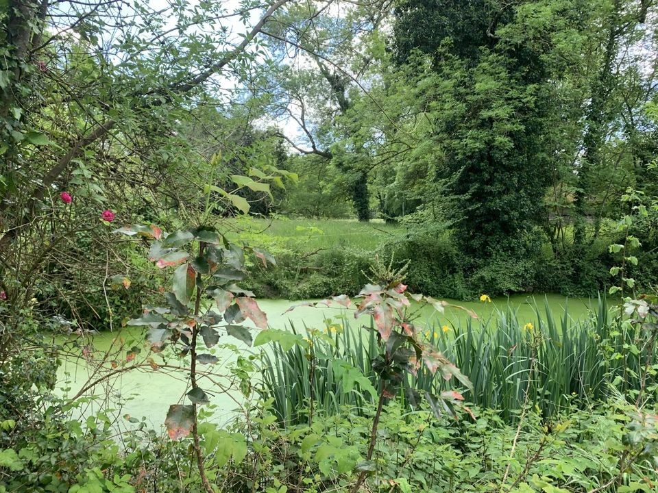 Villa i Sainte-Foy-la-Grande, Gironde - foto 1