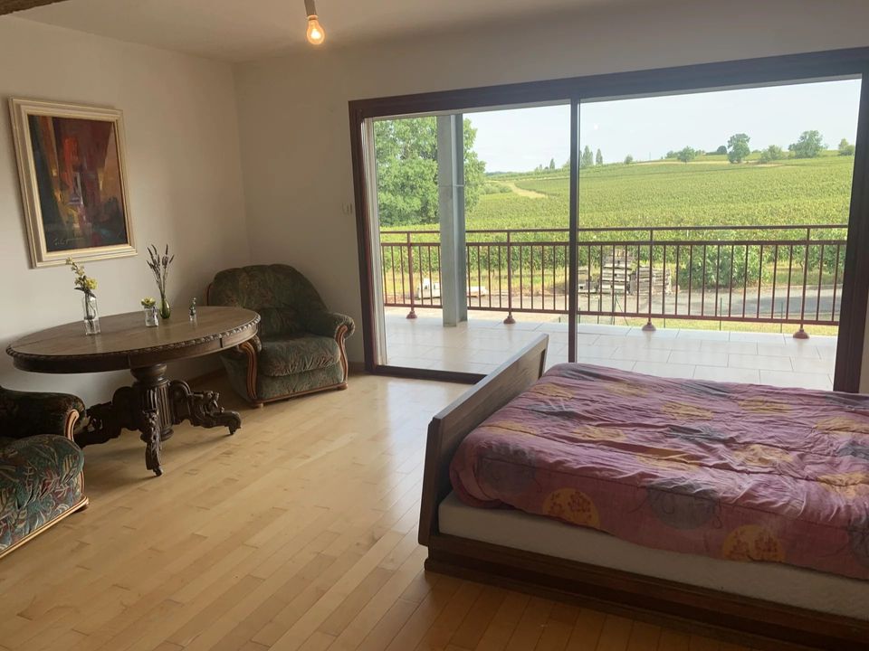 Villa i Duras, Lot-et-Garonne - foto 4
