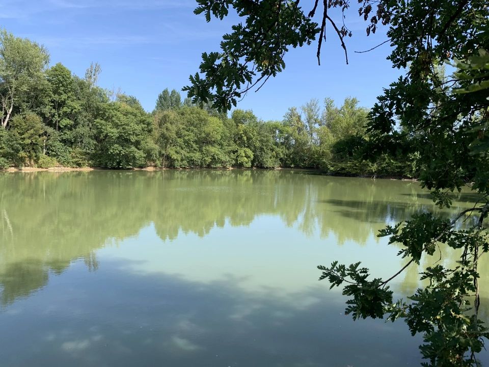 Villa a Duras, Lot-et-Garonne - foto 4
