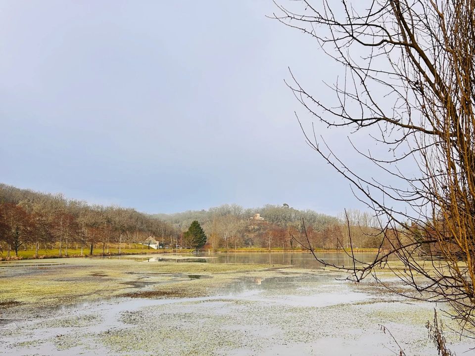 Landejendom i Dégagnac, Lot - foto 5