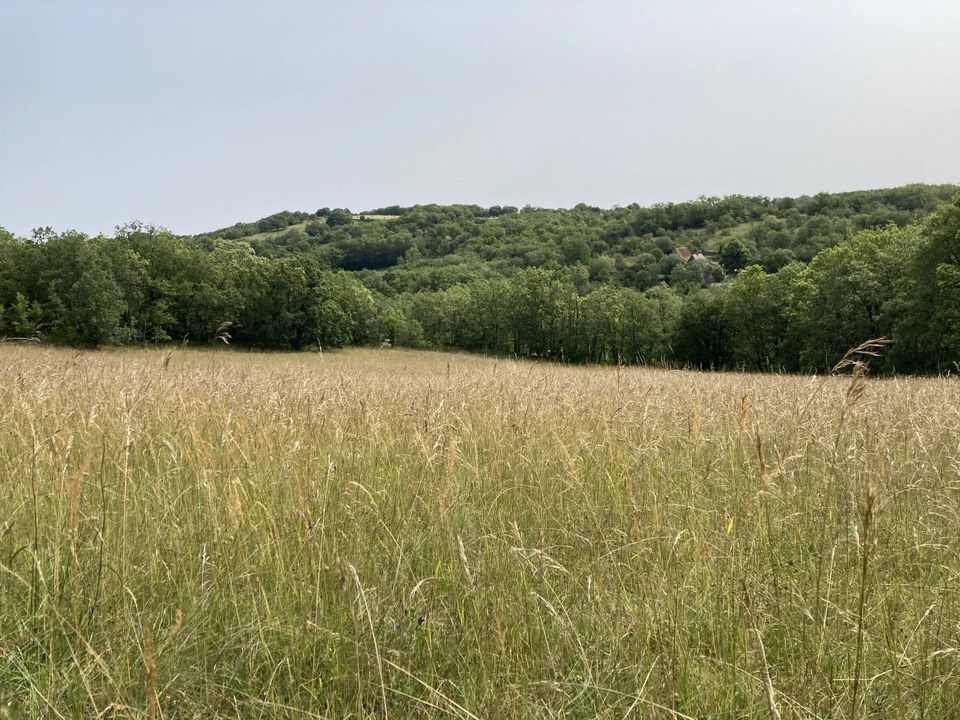 Villa i Labastide-Murat, Lot - foto 5