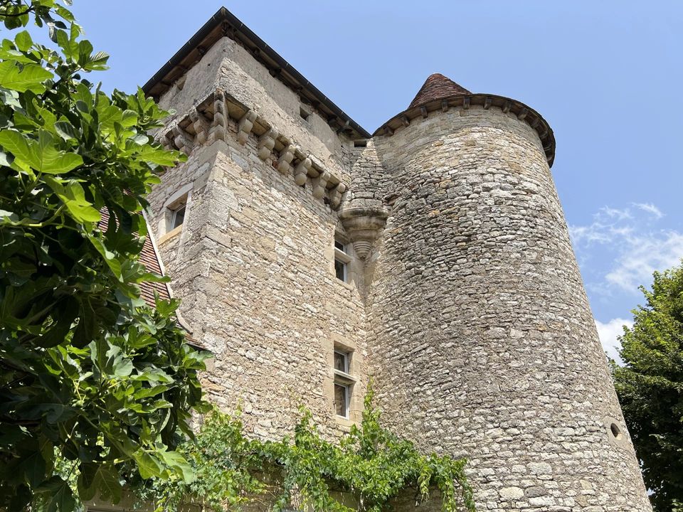 Villa in Ambeyrac, Aveyron - photo 1