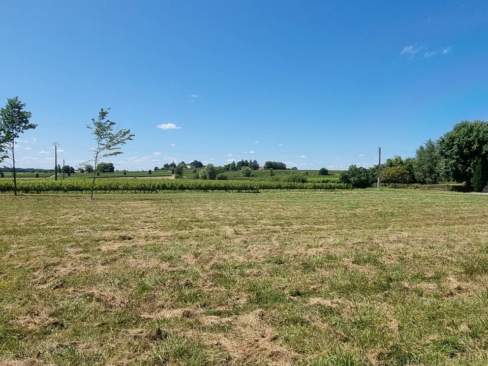 Landsbyhus i Sauveterre-de-Guyenne, Gironde - foto 2