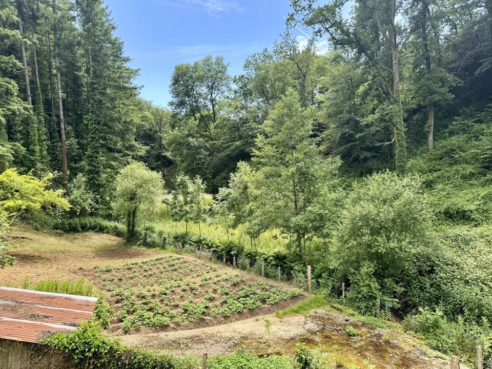 Villa i Rieupeyroux, Aveyron - foto 2