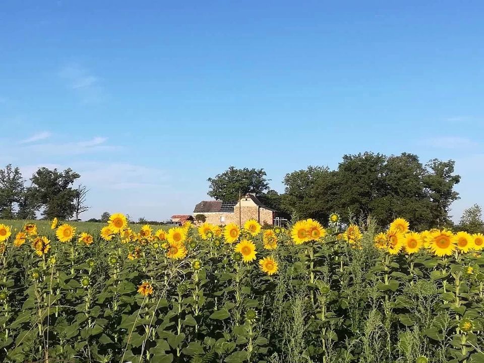 Villa i Lanuéjouls, Aveyron - foto 2