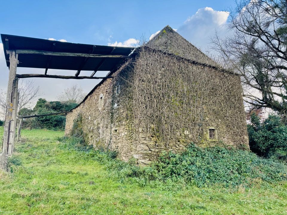 Masia a Rieupeyroux, Aveyron - foto 4