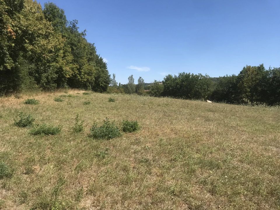 Helårsgrund i Cordes-sur-Ciel, Tarn - foto 3