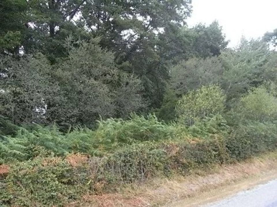 Helårsgrund i Cromac, Haute-Vienne - foto 1