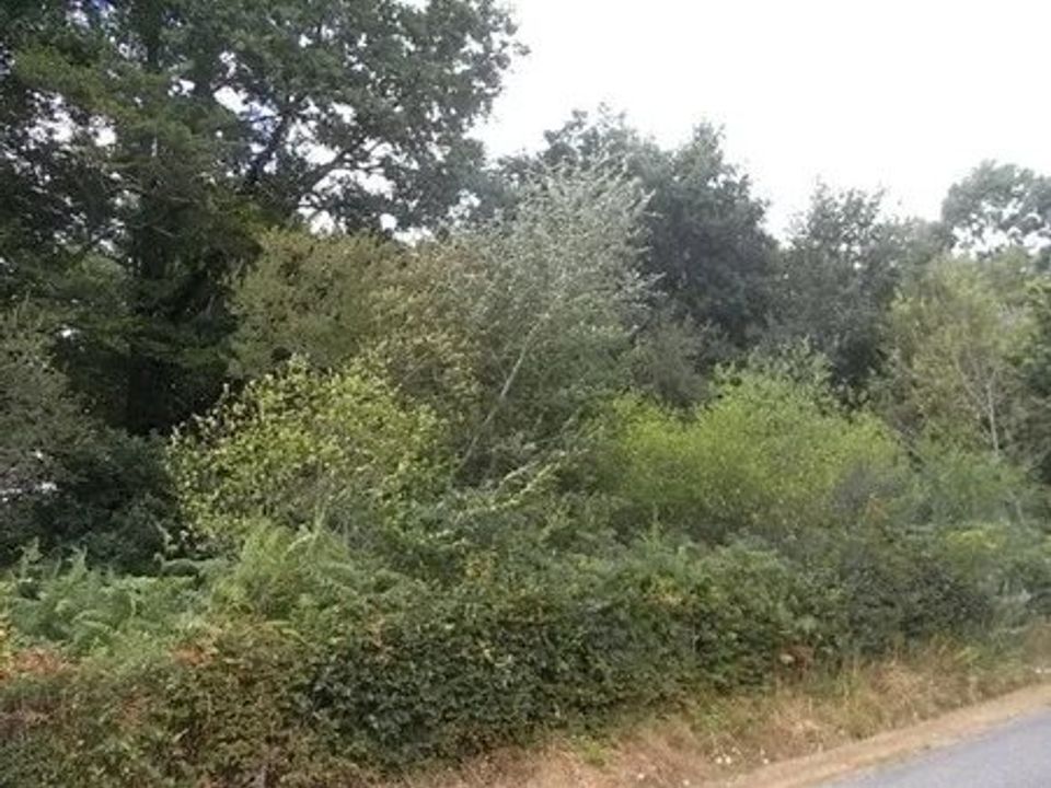 Helårsgrund i Cromac, Haute-Vienne - foto 2