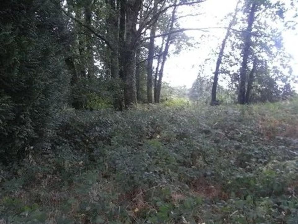 Helårsgrund i Cromac, Haute-Vienne - foto 4