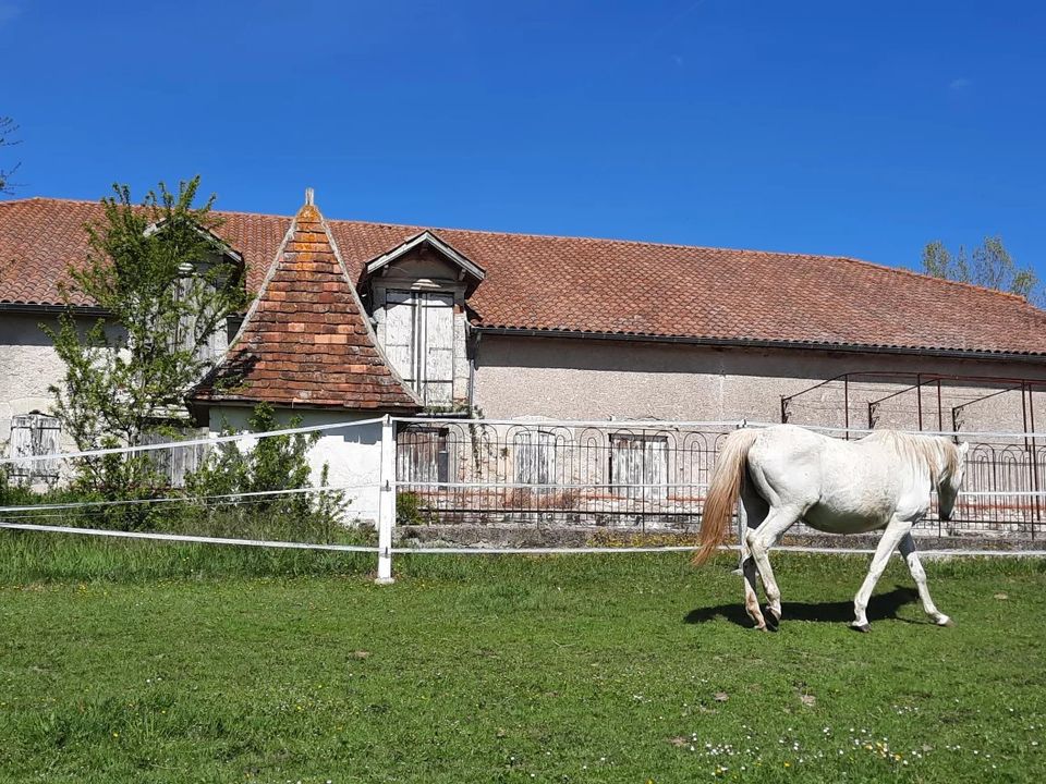 Villa i Villeneuve-sur-Lot, Lot-et-Garonne - bilde 5