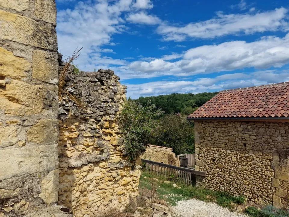 Landejendom i Lalinde, Dordogne - foto 3
