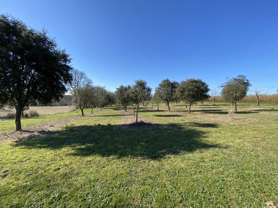Villa in Monflanquin, Lot-et-Garonne - foto 5