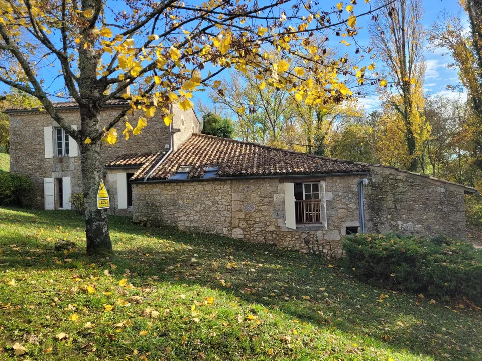 Villa in Nerac, Lot-et-Garonne - foto 4