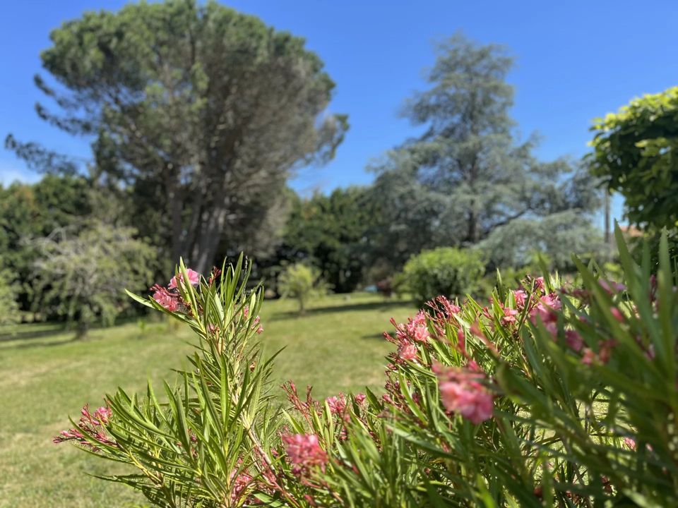 Villa i Saint-Aulaye, Dordogne - foto 5