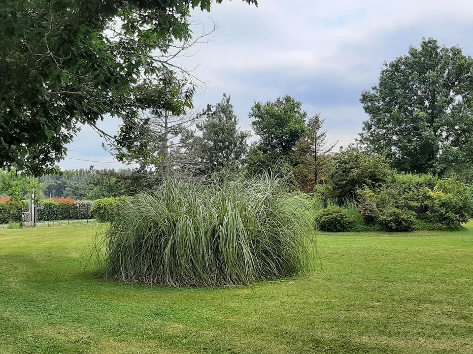 Villa i Saint-Vincent-Jalmoutiers, Dordogne - foto 2