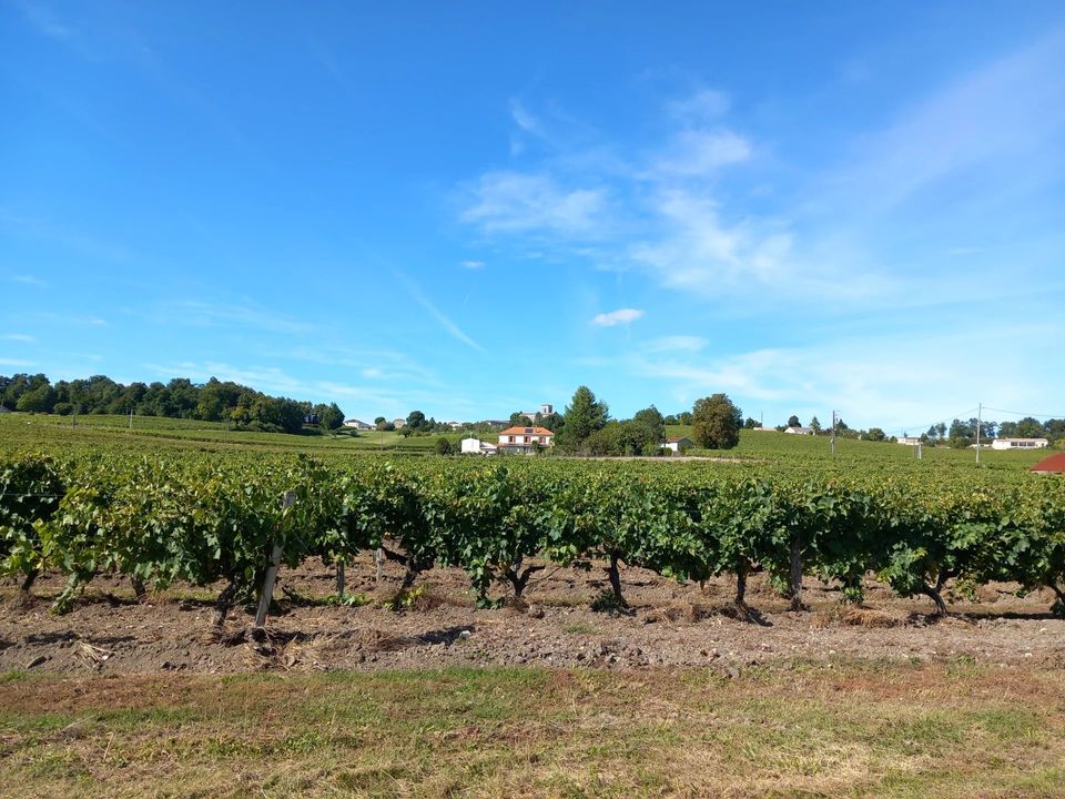 Villa i Jonzac, Charente-Maritime - foto 2