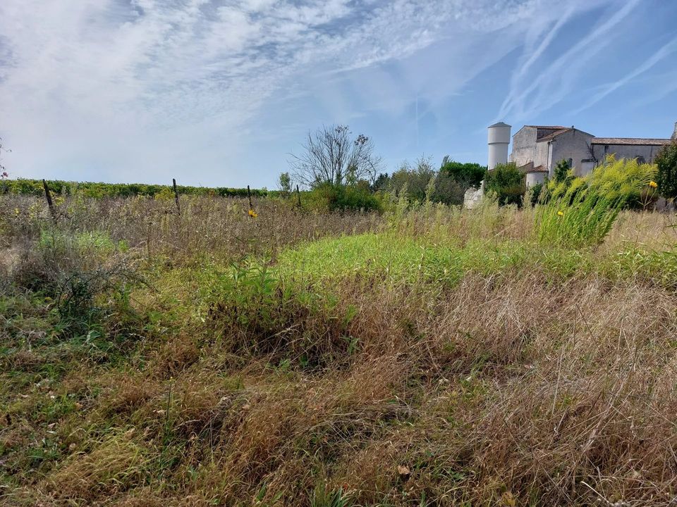 Helårsgrund i Jonzac, Charente-Maritime - foto 4