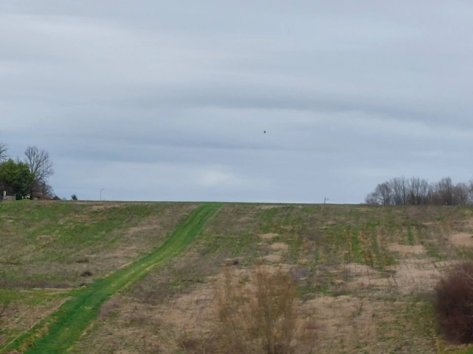 Helårsgrund i Sainte-Colombe, Charente-Maritime - foto 5