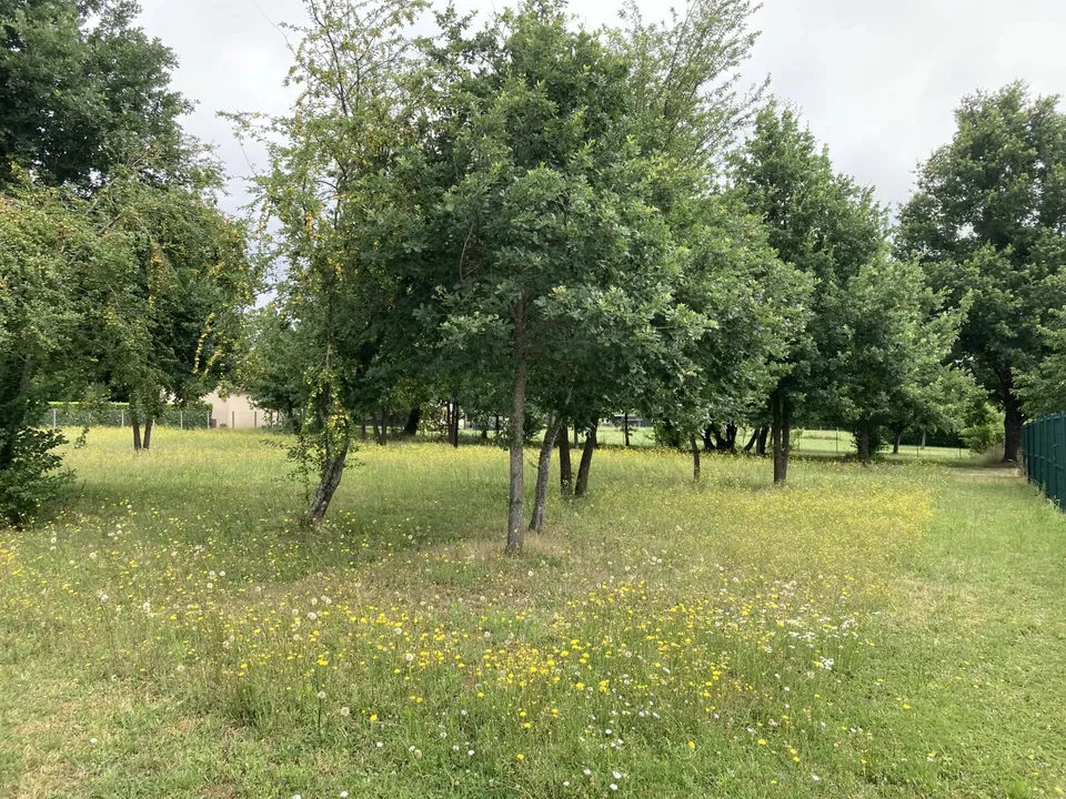 Helårsgrund i Puymangou, Dordogne - foto 1