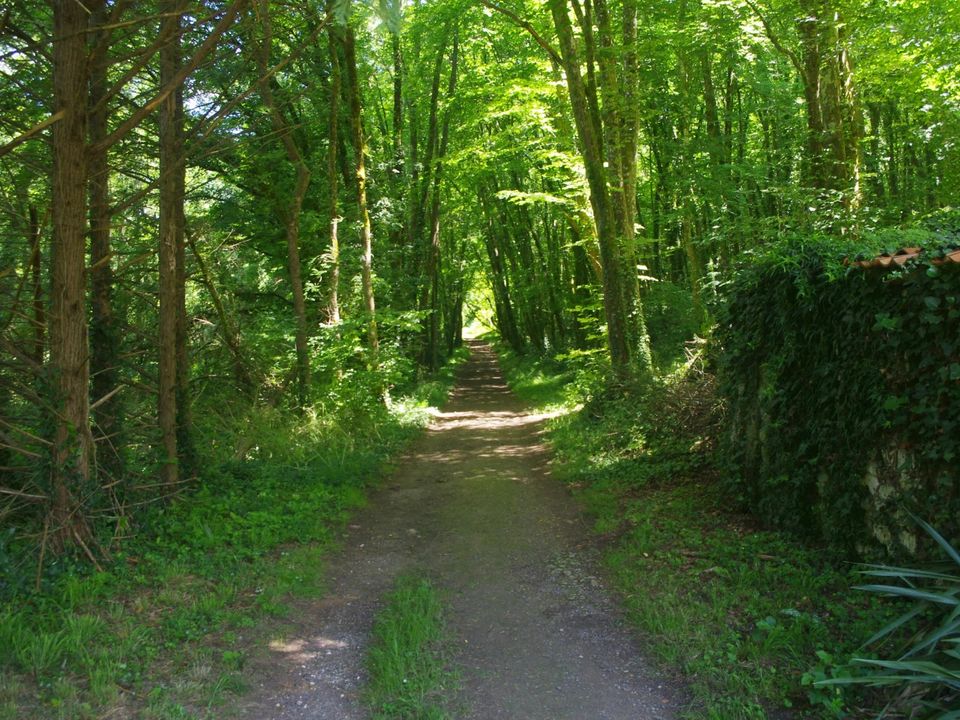 Villa en Rioux-Martin, Charente - foto 5