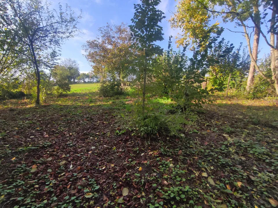 Landejendom i Le Busseau, Deux-Sevres - foto 2