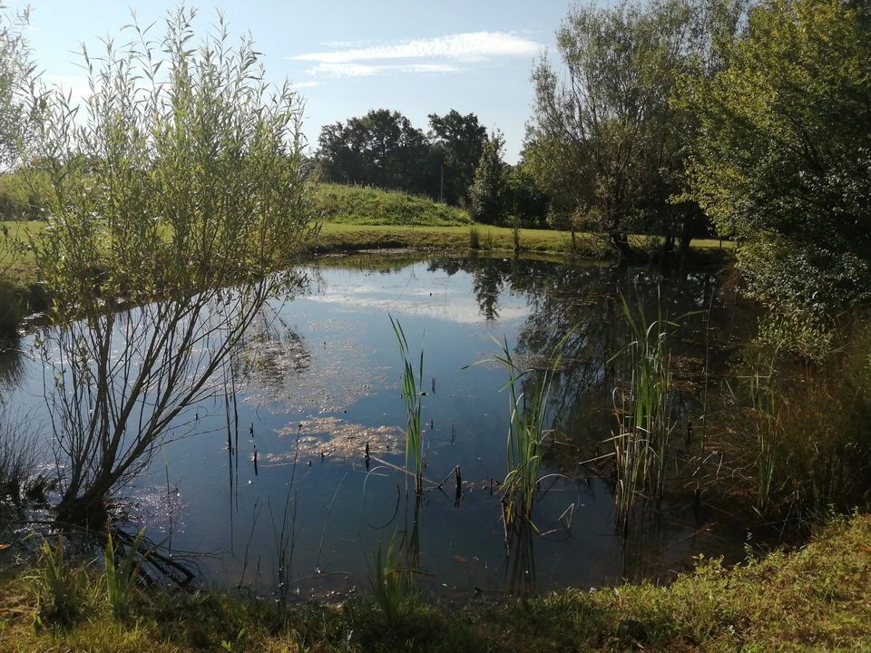 Villa i Saint-Martin-l'Ars, Vienne - foto 4