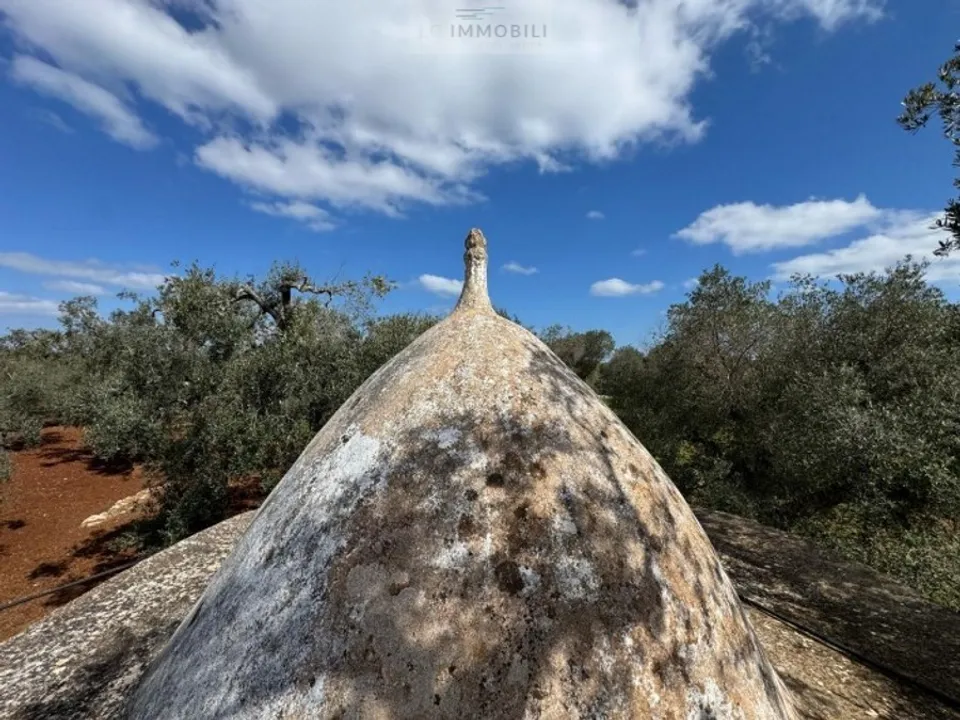 Tomt i Carovigno, Brindisi - bilde 4
