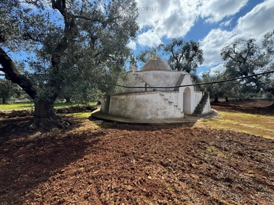 Tomt i Carovigno, Brindisi - bilde 3