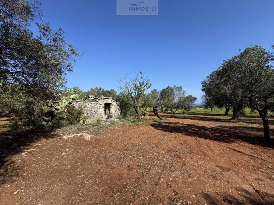 Helårsgrund i Carovigno, Brindisi - foto 1