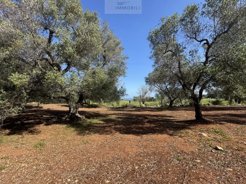 Helårsgrund i Carovigno, Brindisi - foto 2