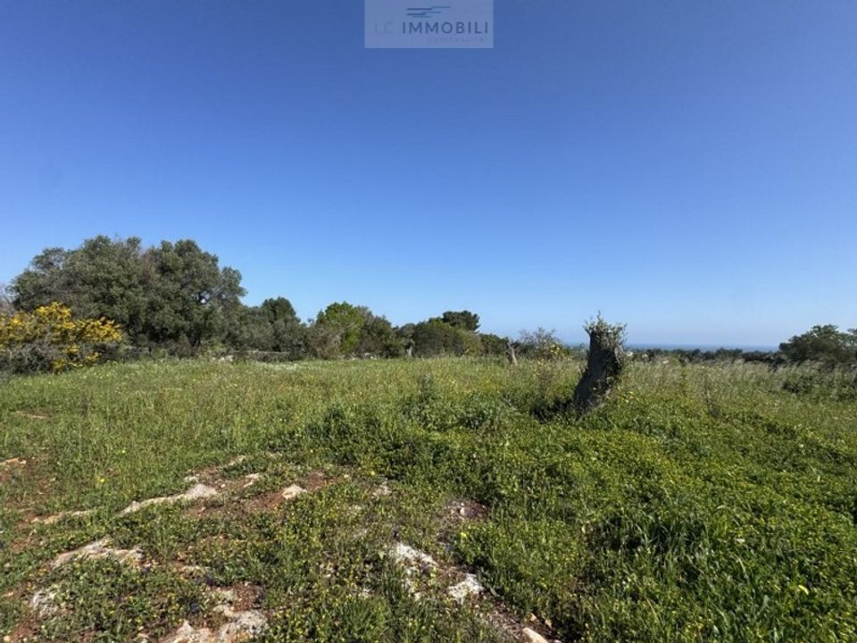 Helårsgrund i Carovigno, Brindisi - foto 4
