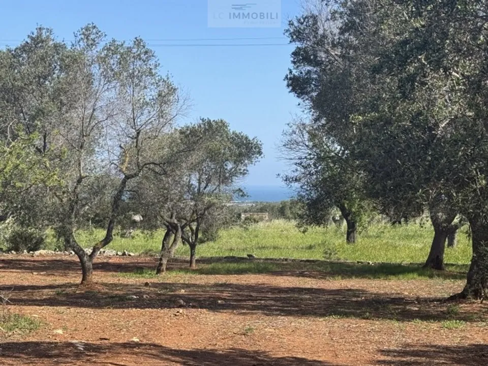 Helårsgrund i Carovigno, Brindisi - foto 3