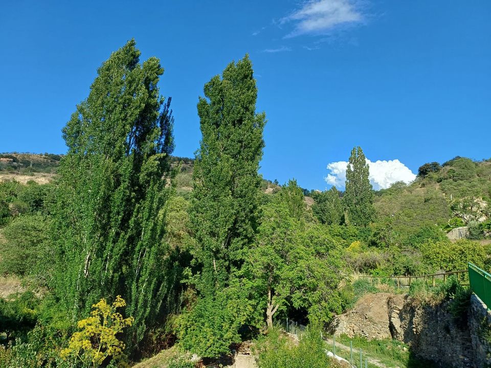 Finca a Rojales, Alicante - foto 5
