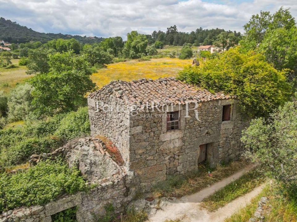 Farm i Belmonte, Castelo Branco - foto 2