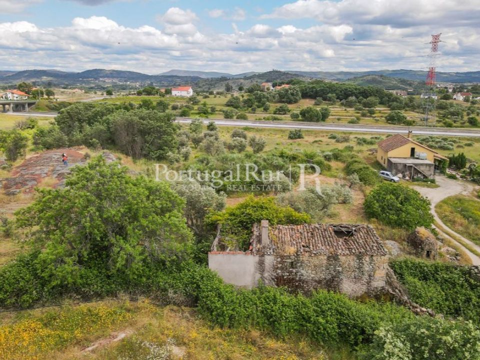 Farm i Belmonte, Castelo Branco - foto 3