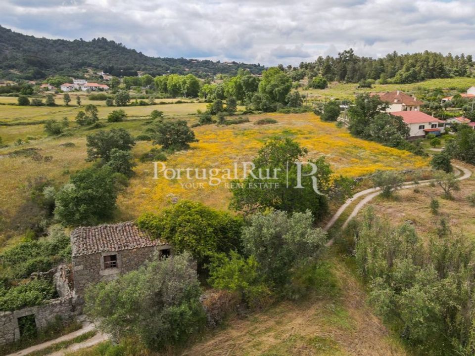 Farm i Belmonte, Castelo Branco - foto 4