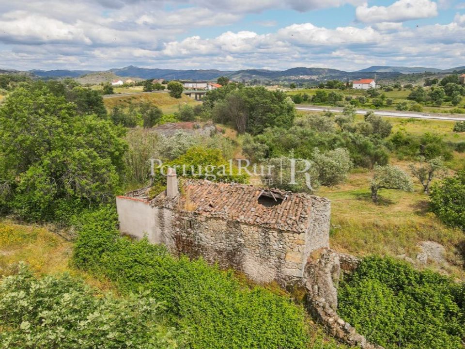 Farm i Belmonte, Castelo Branco - foto 5