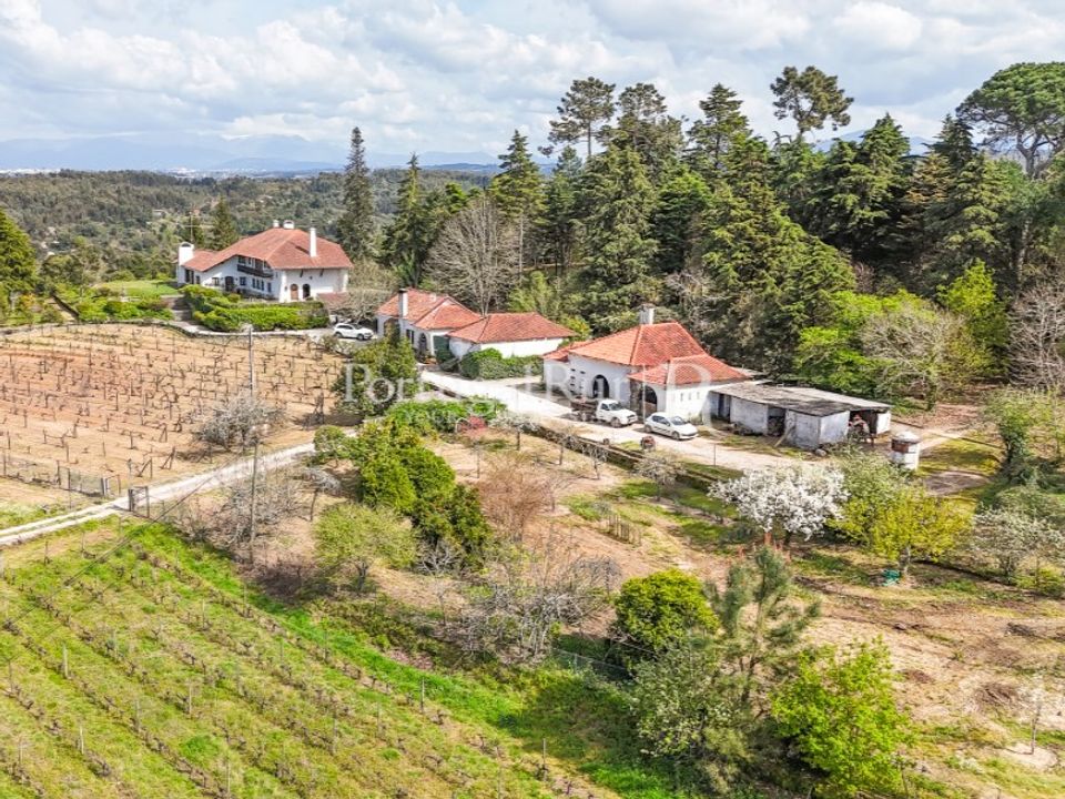 Farm i Sao Joao da Boa Vista, Coimbra - foto 1