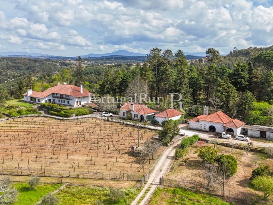 Farm i Sao Joao da Boa Vista, Coimbra - foto 5