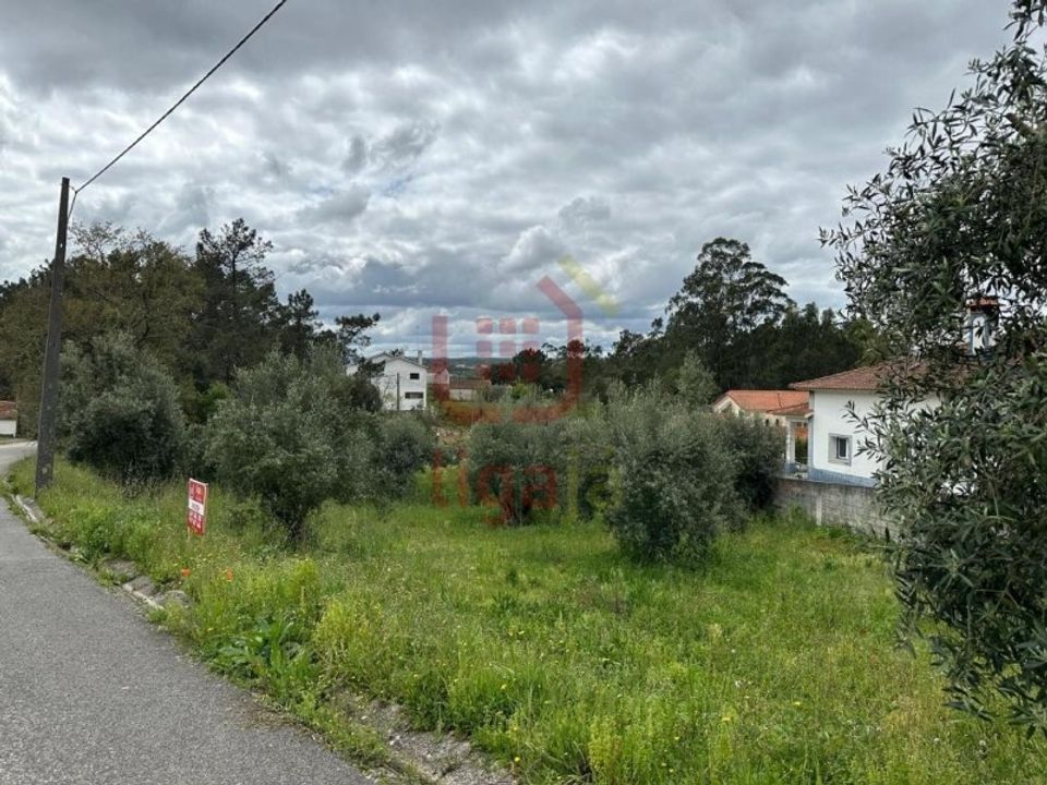 Helårsgrund i Ourem, Santarem - foto 1