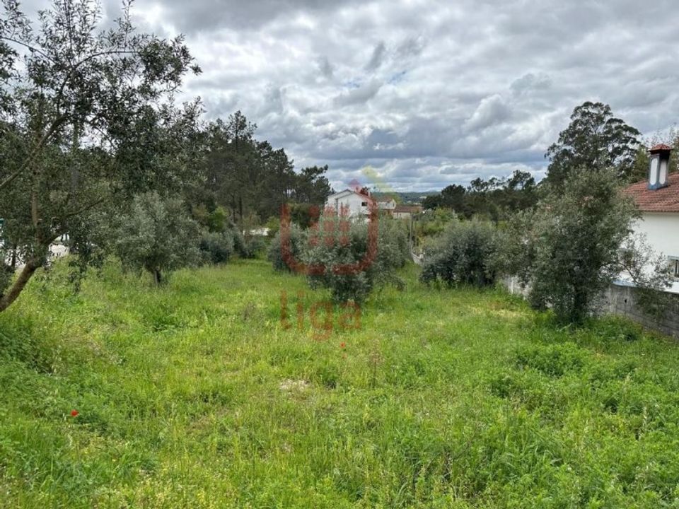Helårsgrund i Ourem, Santarem - foto 2