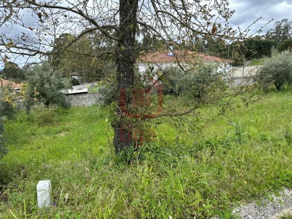 Helårsgrund i Ourem, Santarem - foto 3