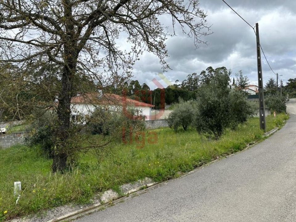 Helårsgrund i Ourem, Santarem - foto 4