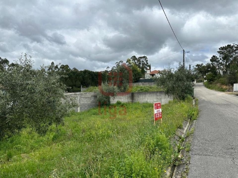 Helårsgrund i Ourem, Santarem - foto 5