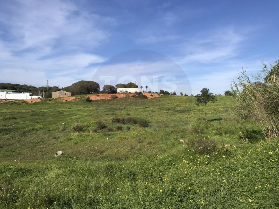 Helårsgrund i Porches, Faro - foto 2