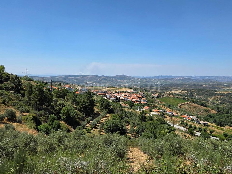Erhvervsejendom i Meda, Guarda - foto 3