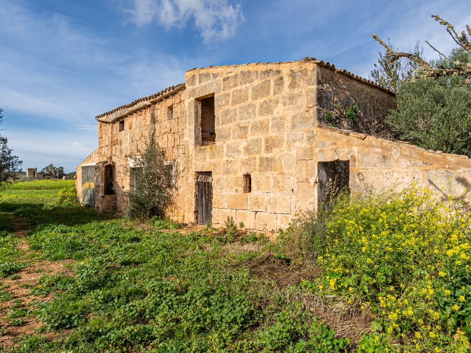 Terreno en Campos, Mallorca - foto 3